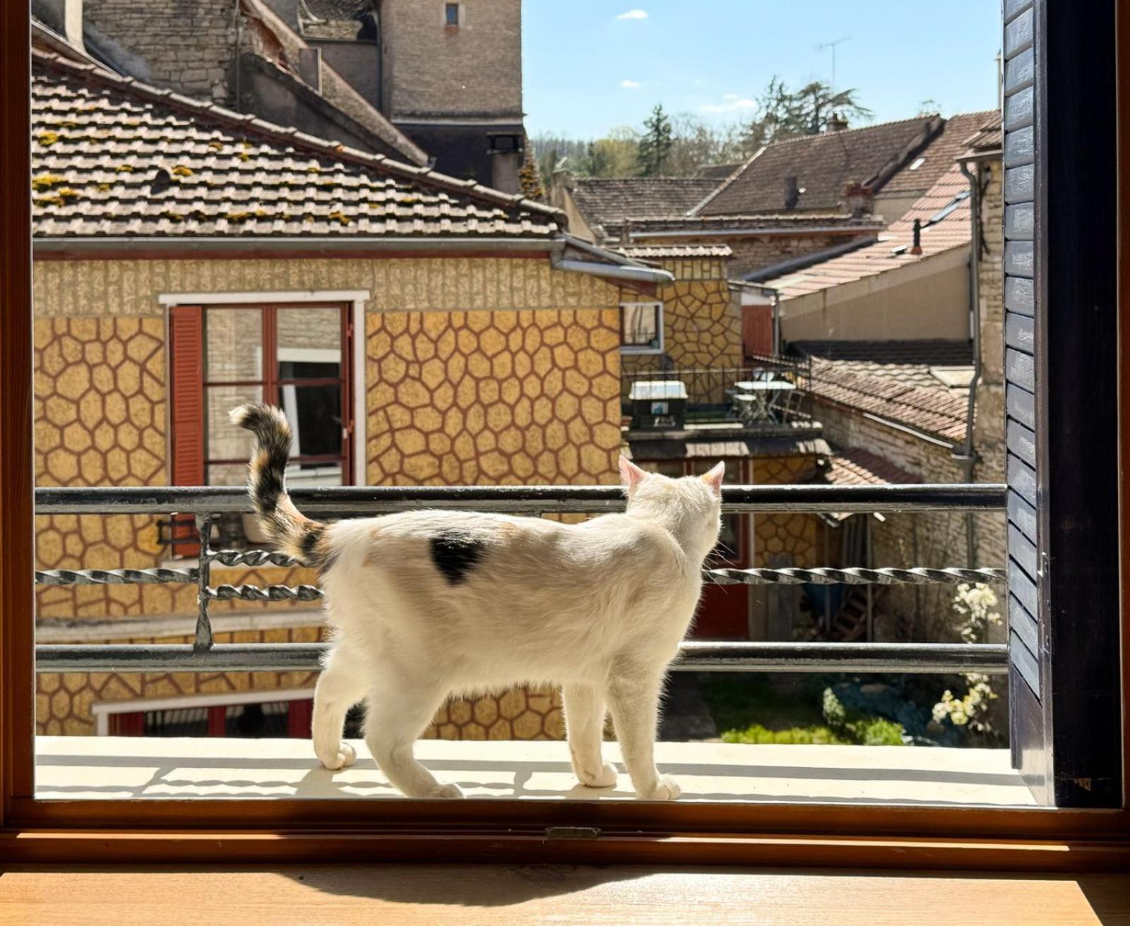 La Petite Maison نويرس سور سيرين المظهر الخارجي الصورة
